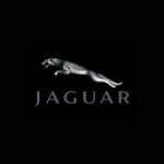 Jaguar Motortisch